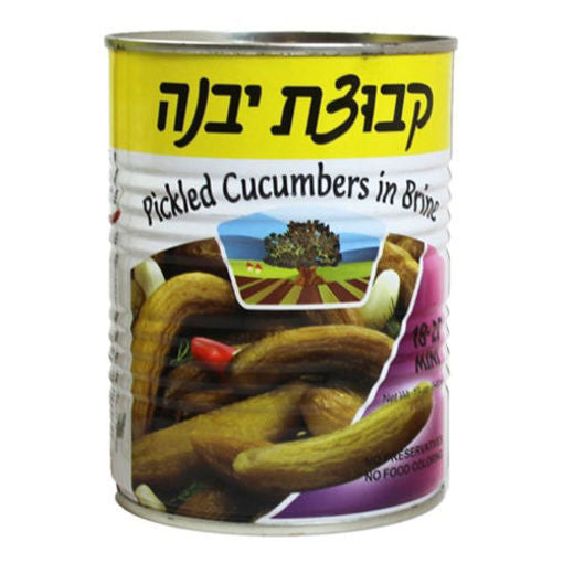 Kvuzat Yavne Pickled Cucumbers In Brine (Mini 18-25) 560G