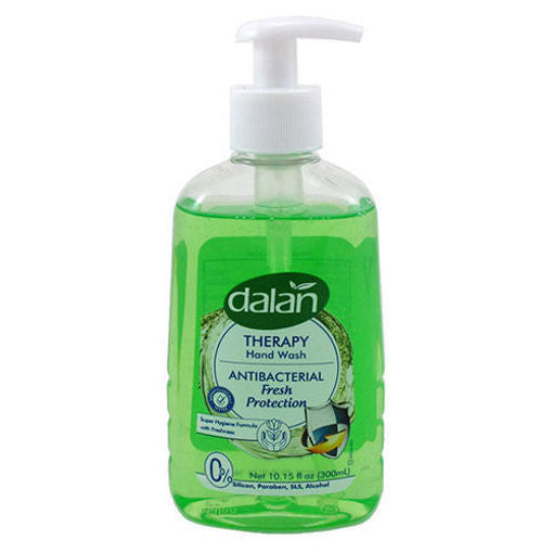 Dalan Hand Wash Anti-Bacterial Fresh Protection Soap Pump 300Ml
